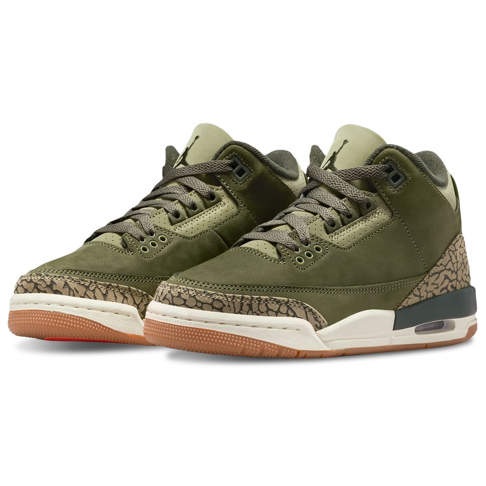 Jordan Jordan 3 Retro in Medium Olive / Sequoia / Neutral Olive