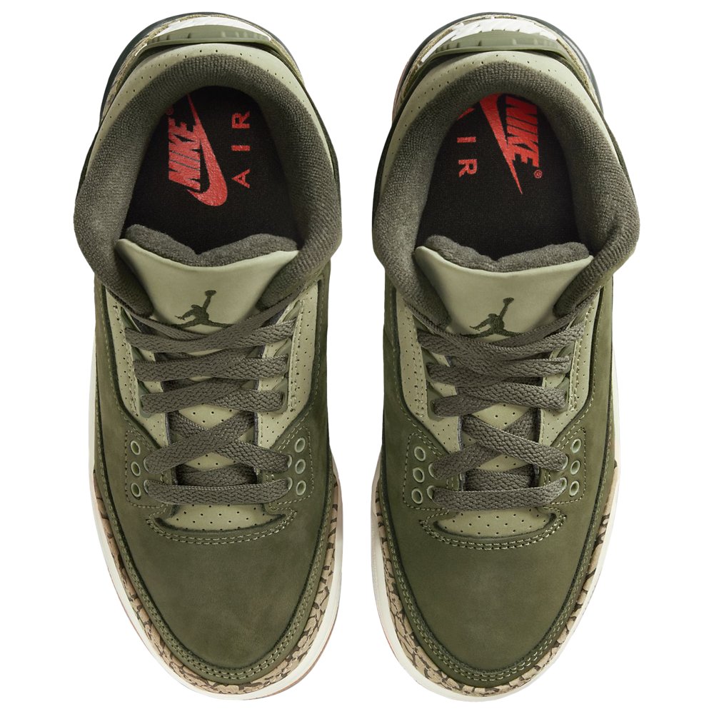 Jordan Jordan 3 Retro in Medium Olive / Sequoia / Neutral Olive